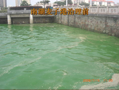 岳阳南湖水域污染蓝藻爆发治理项目