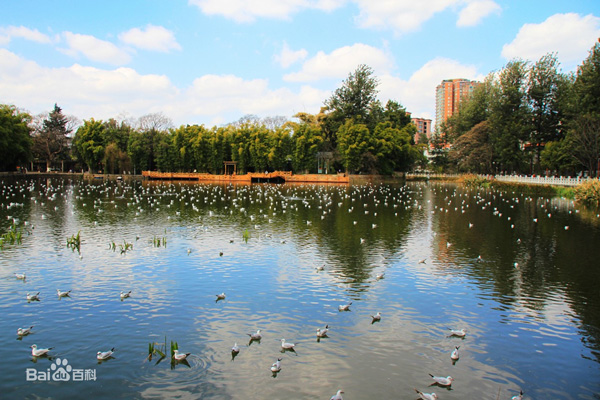 北京翠湖湿地公园水质提升项目